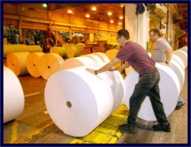 Park Falls Major Employers